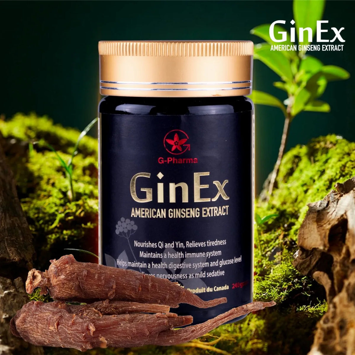 GinEx® 西洋蔘黑膏滋 (純膏劑-100g)