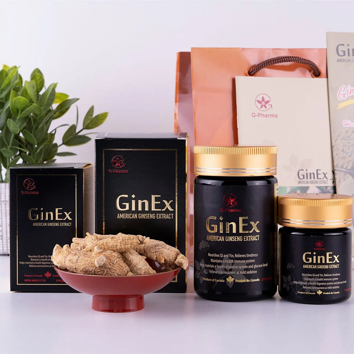 GinEx® 西洋蔘黑膏滋 (純膏劑-100g)